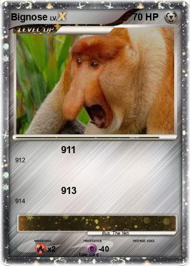 Pokemon Bignose