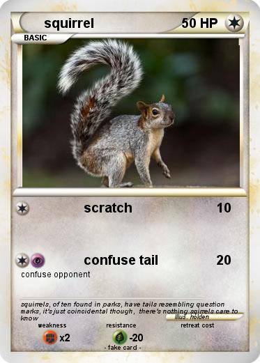 Pokemon squirrel