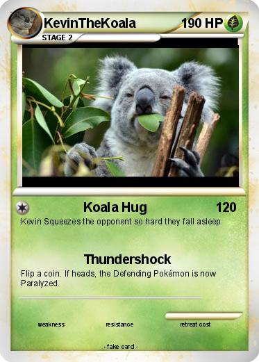 Pokemon KevinTheKoala