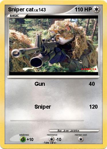 Pokemon Sniper cat