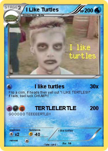 Pokemon I Like Turtles