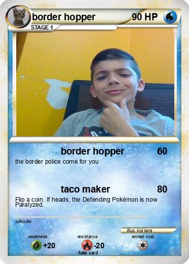 Pokemon border hopper
