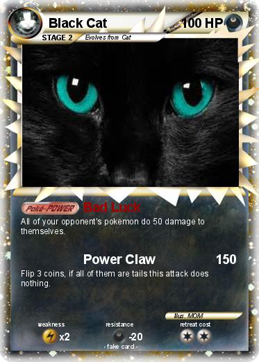 Pokemon Black Cat
