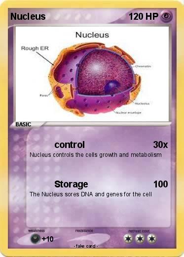 Pokemon Nucleus