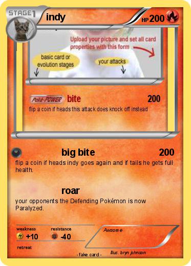 Pokemon indy