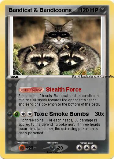 Pokemon Bandicat & Bandicoons