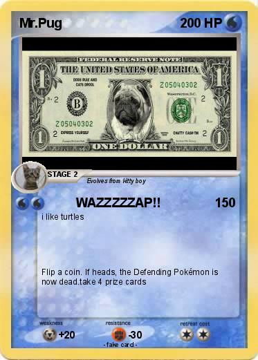 Pokemon Mr.Pug