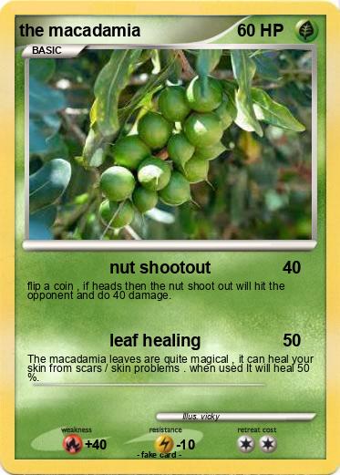 Pokemon the macadamia