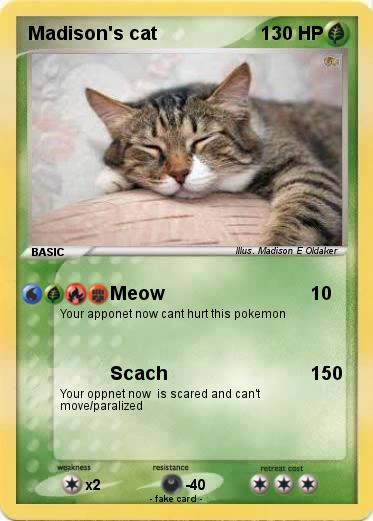 Pokemon Madison's cat