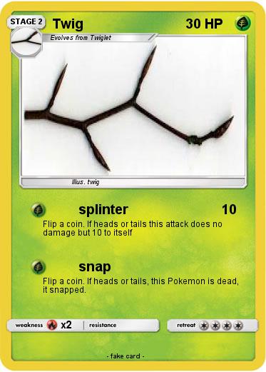 Pokemon Twig
