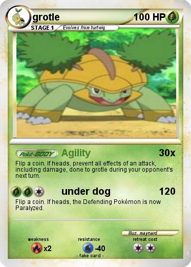 Pokemon grotle