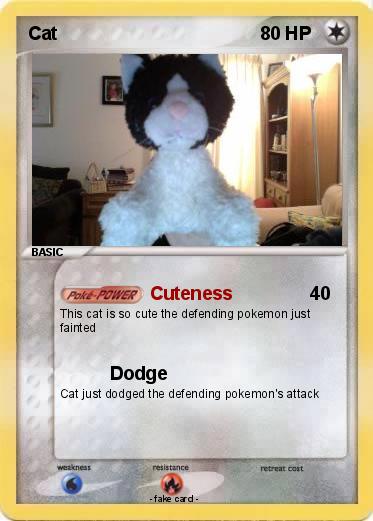 Pokemon Cat