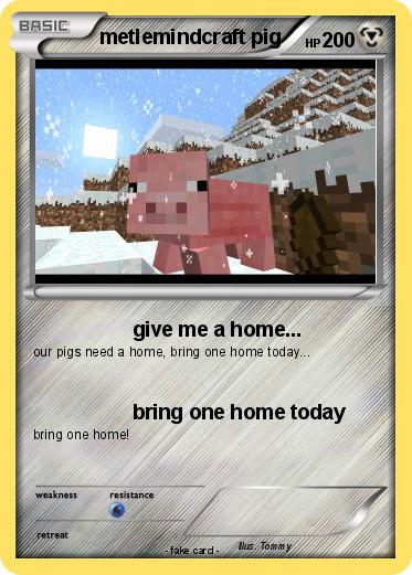 Pokemon metlemindcraft pig