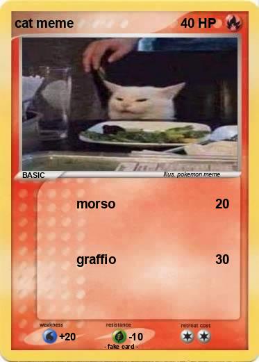 Pokemon cat meme