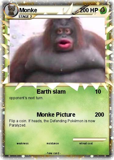 Pokemon Monke