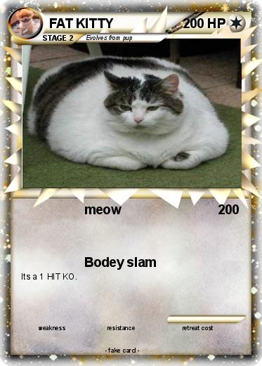 Pokemon FAT KITTY
