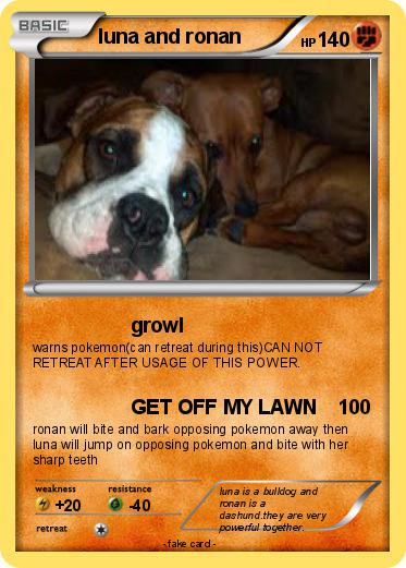 Pokemon luna and ronan