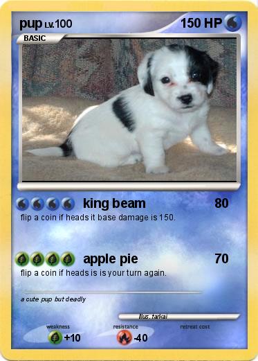 Pokemon pup
