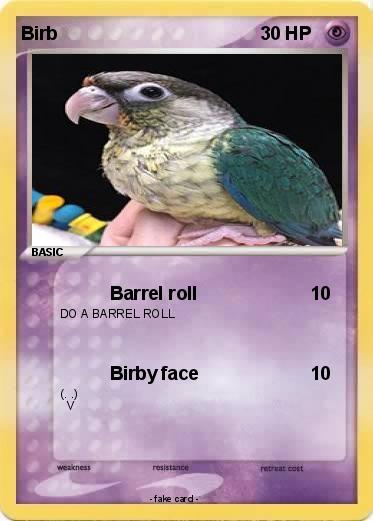 Pokemon Birb