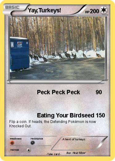 Pokemon Yay,Turkeys!