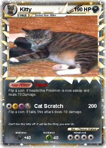 Pokemon Kitty