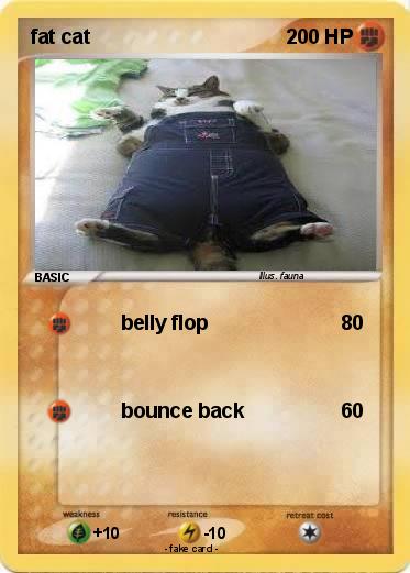 Pokemon fat cat