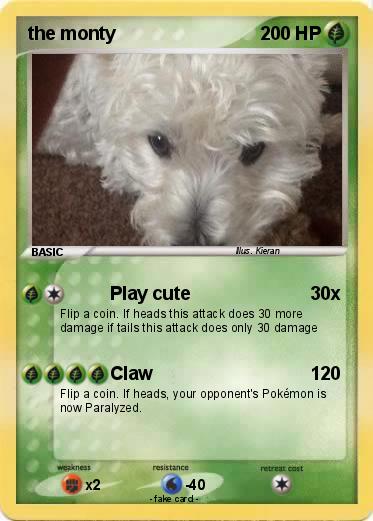 Pokemon the monty
