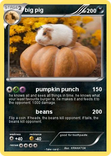 Pokemon big pig