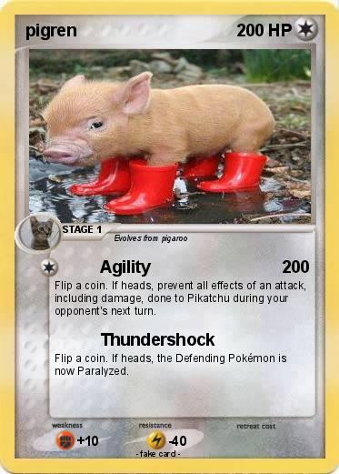 Pokemon pigren