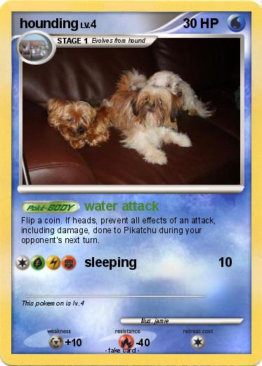 Pokemon hounding