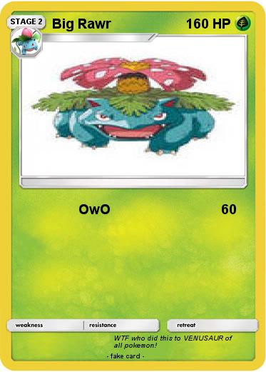 Pokemon Big Rawr