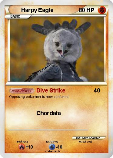 Pokemon Harpy Eagle