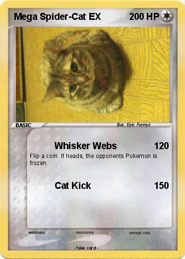 Pokemon Mega Spider-Cat EX