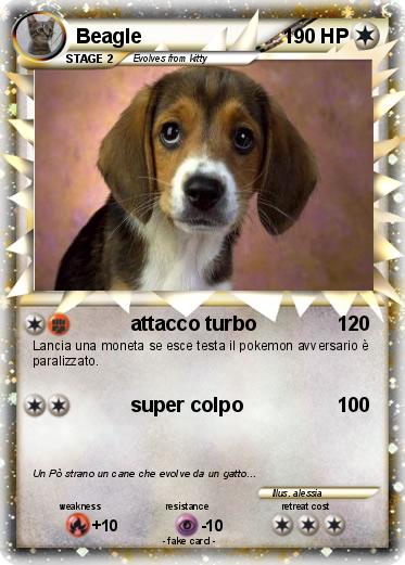 Pokemon Beagle