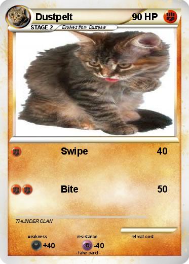 Pokemon Dustpelt