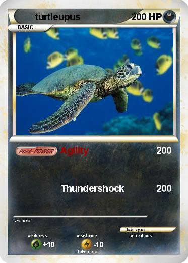 Pokemon turtleupus