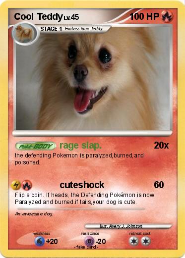Pokemon Cool Teddy