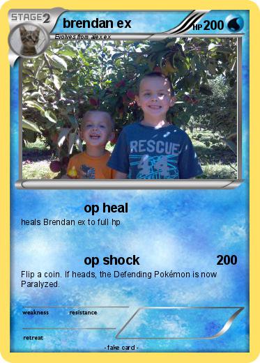 Pokemon brendan ex