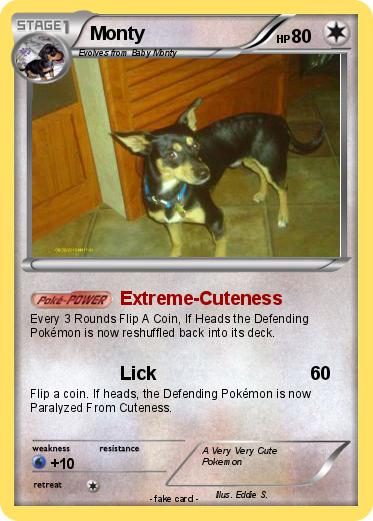 Pokemon Monty