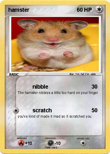 Pokemon hamster