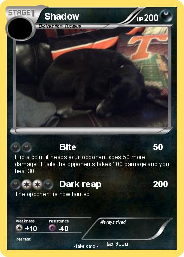 Pokemon Shadow