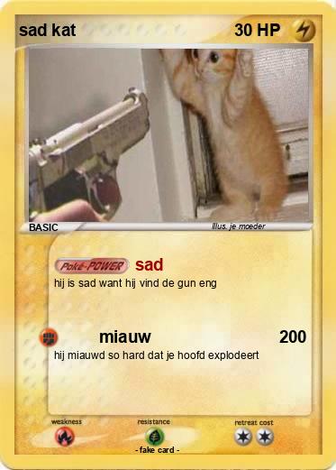 Pokemon sad kat