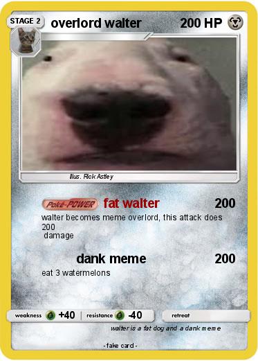Pokemon overlord walter