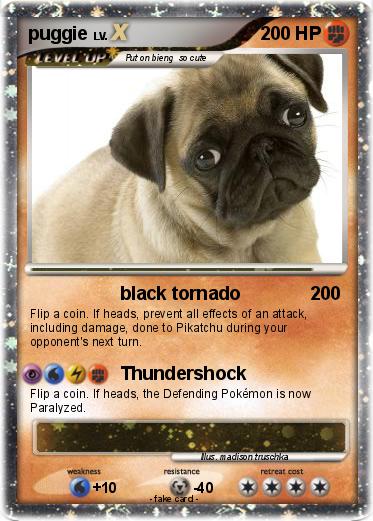 Pokemon puggie