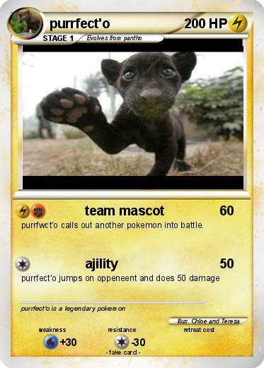 Pokemon purrfect'o