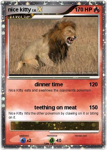 Pokemon nice kitty