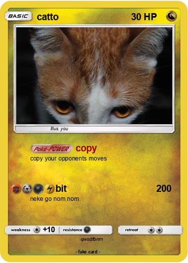 Pokemon catto