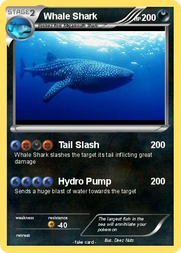 Pokemon Whale Shark