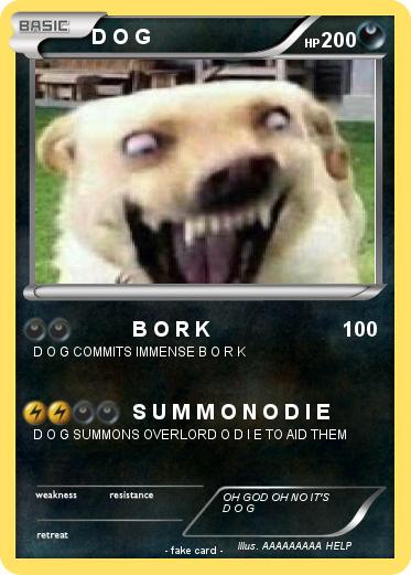 Pokemon D O G