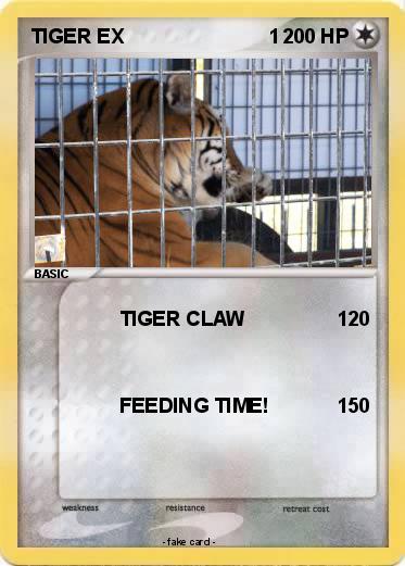 Pokemon TIGER EX                          1